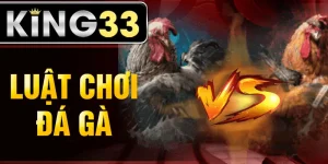 luat-choi-da-ga